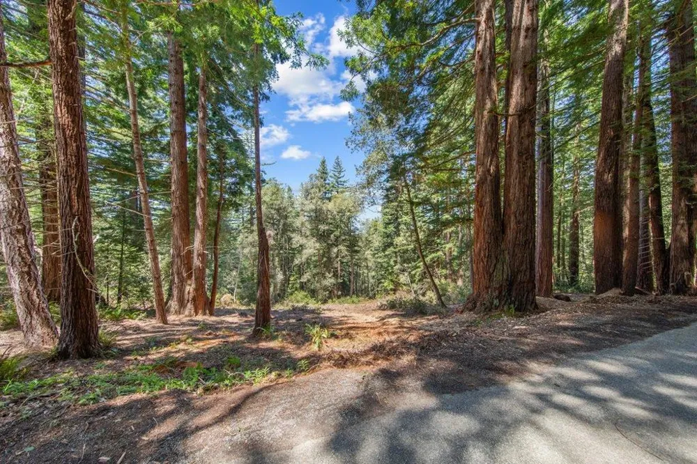 Native Sons Road Woodside, CA 94062