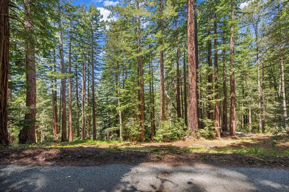 Native Sons Road Woodside, CA 94062