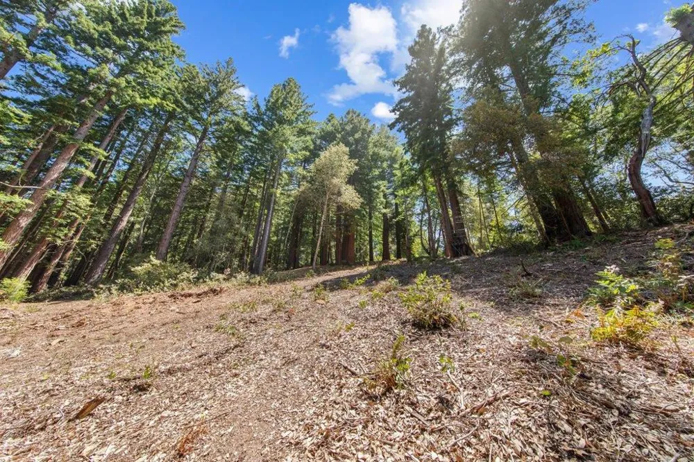 Native Sons Road Woodside, CA 94062