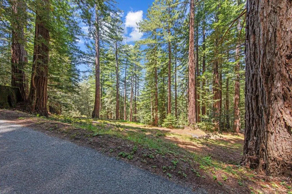 Native Sons Road Woodside, CA 94062