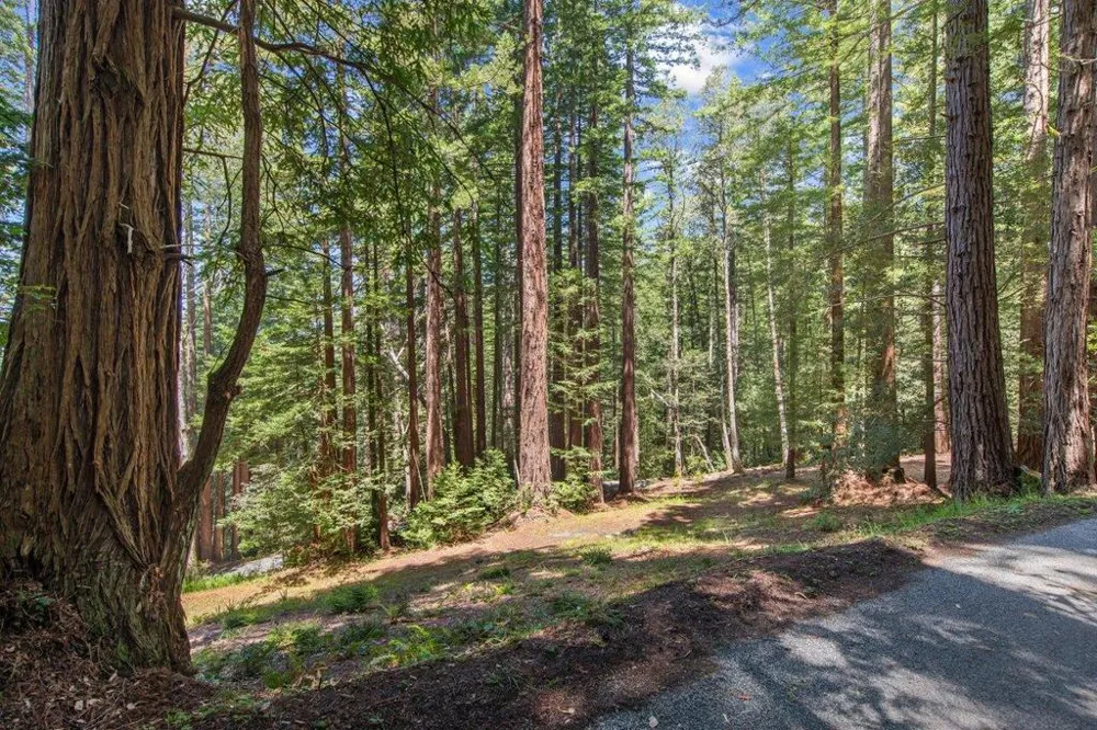 Native Sons Road Woodside, CA 94062