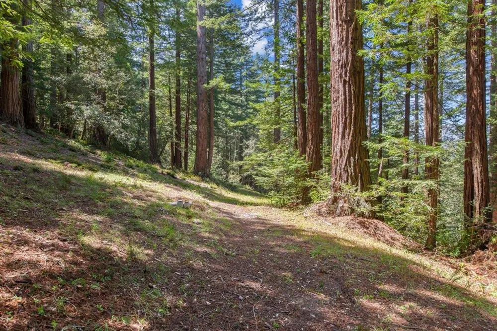 Native Sons Road Woodside, CA 94062