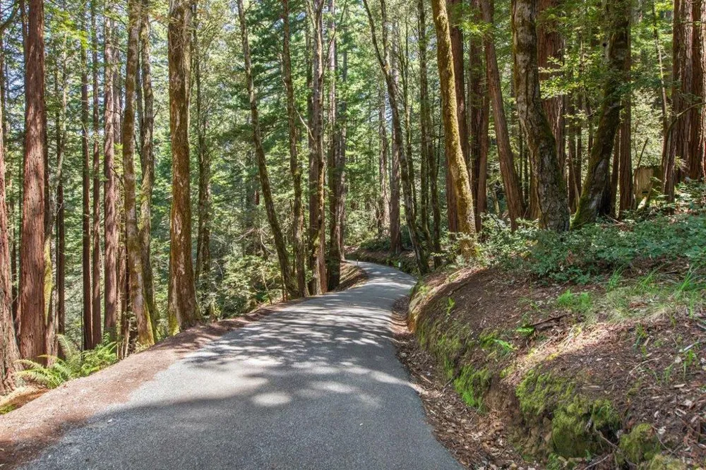 Native Sons Road Woodside, CA 94062