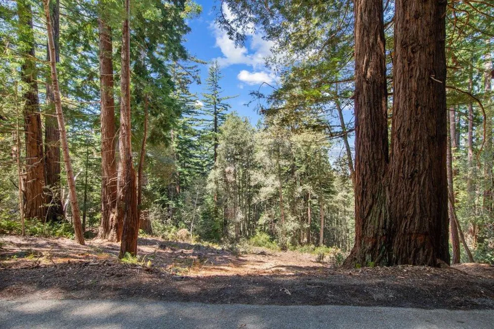Native Sons Road Woodside, CA 94062