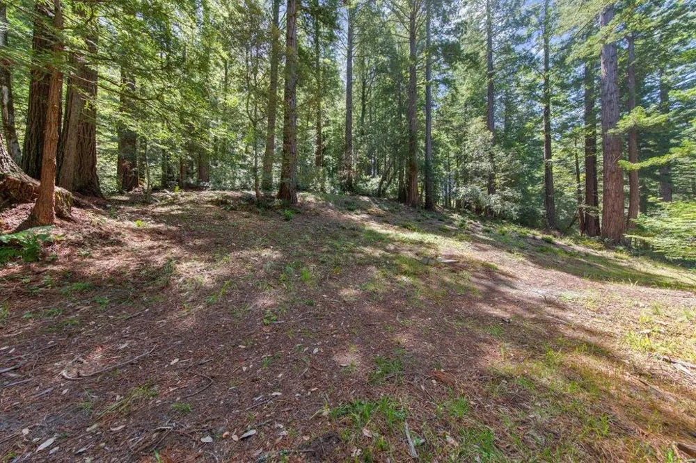 Native Sons Road Woodside, CA 94062
