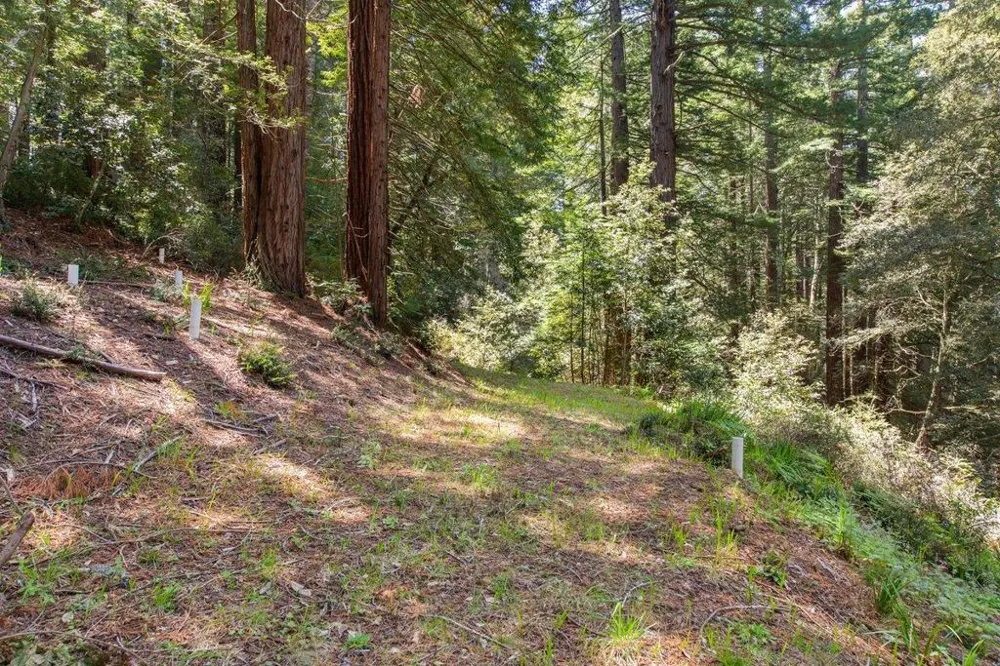 Native Sons Road Woodside, CA 94062