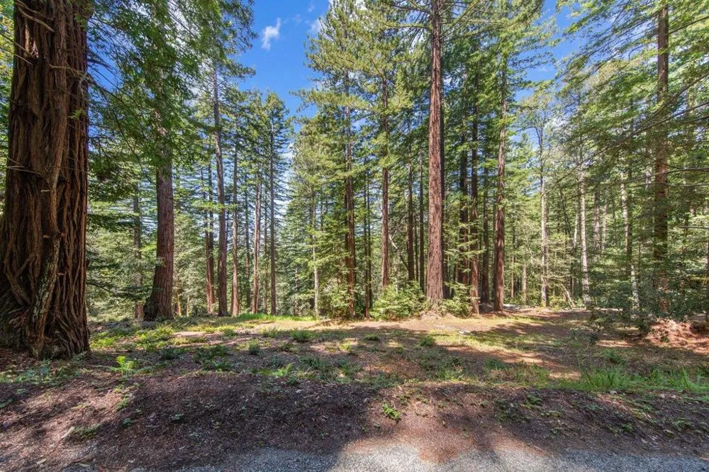 Native Sons Road Woodside, CA 94062