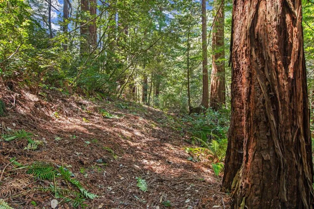 Native Sons Road Woodside, CA 94062