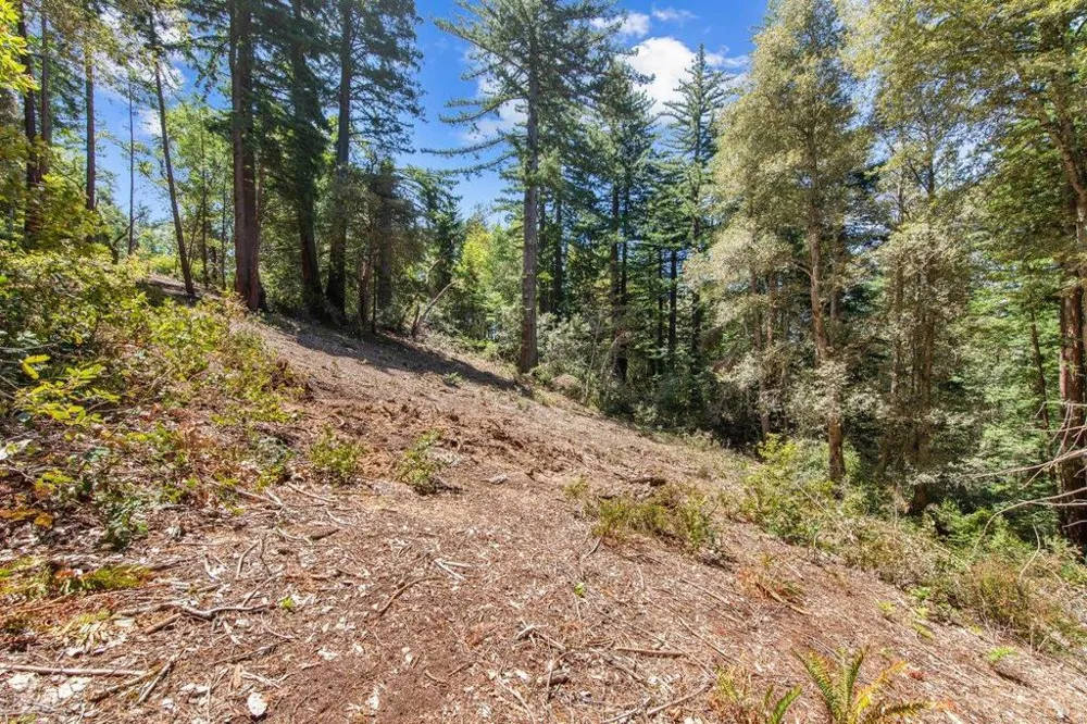 Native Sons Road Woodside, CA 94062