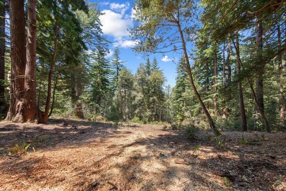 Native Sons Road Woodside, CA 94062