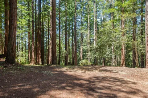 Native Sons Road