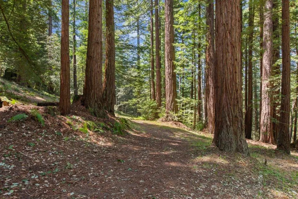 Native Sons Road Woodside, CA 94062