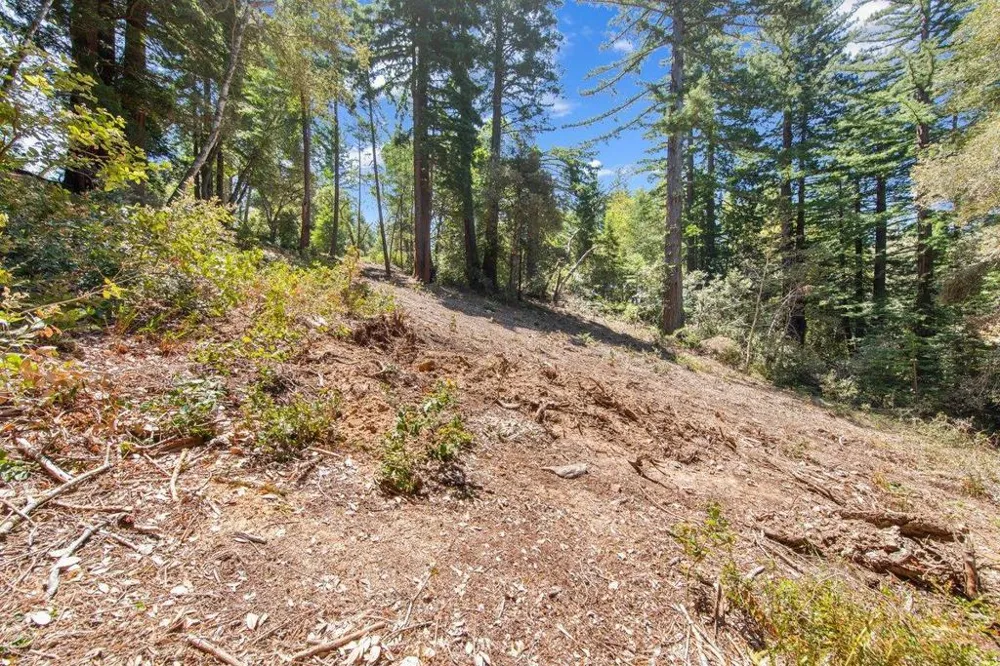 Native Sons Road Woodside, CA 94062