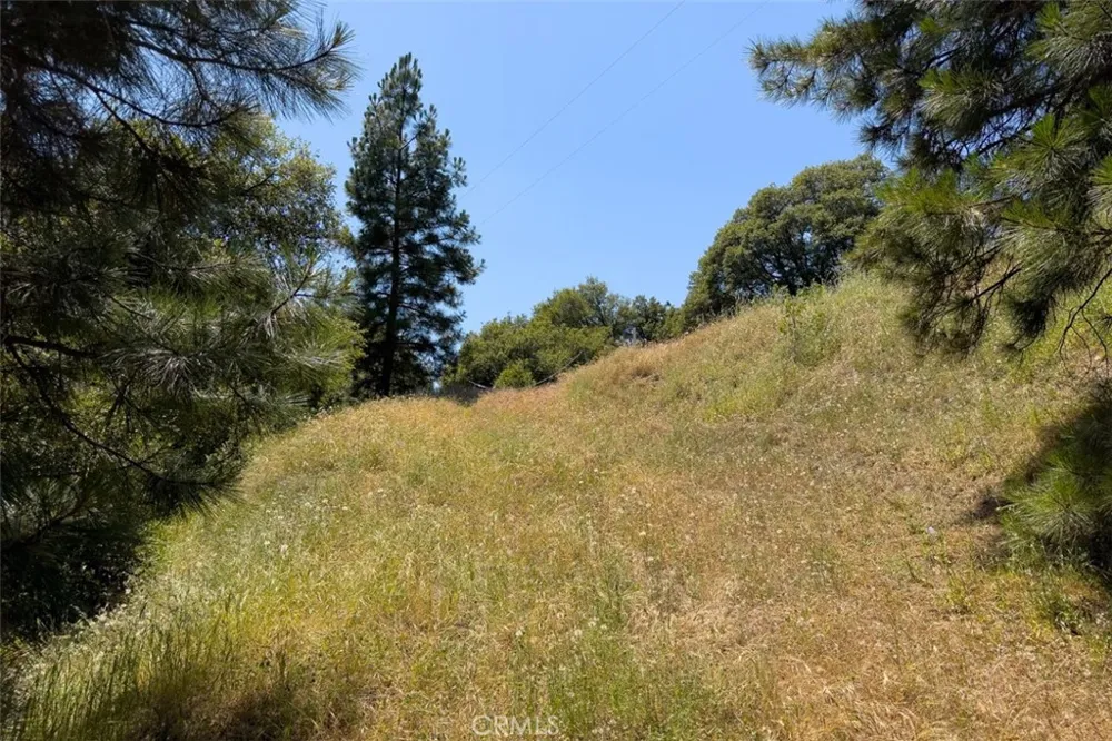 2397 Parmabelle Mariposa, CA 95338