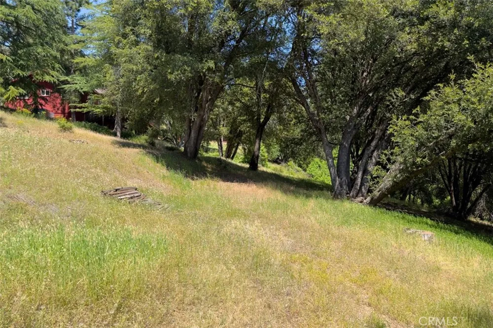 2397 Parmabelle Mariposa, CA 95338