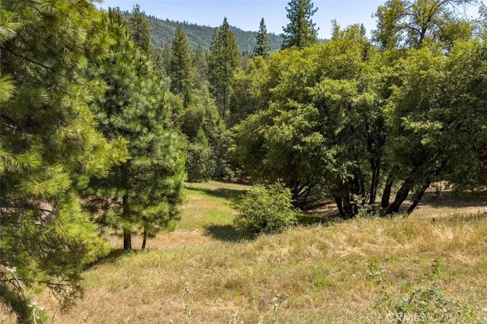2397 Parmabelle Mariposa, CA 95338