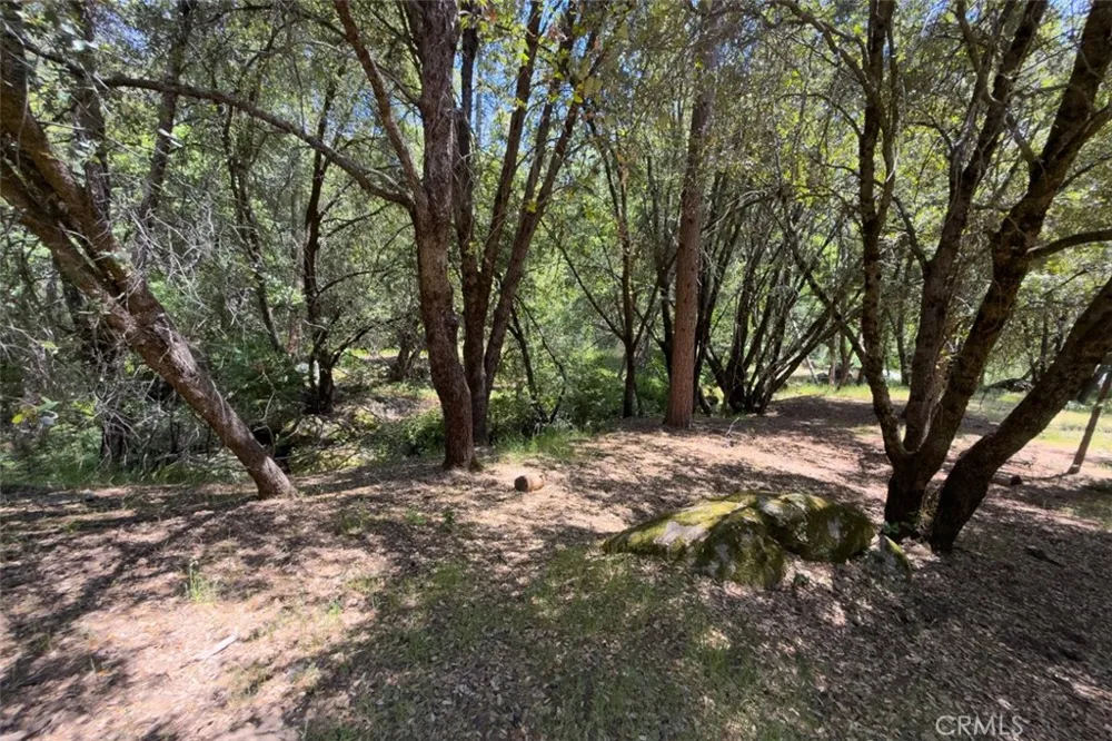 2397 Parmabelle Mariposa, CA 95338
