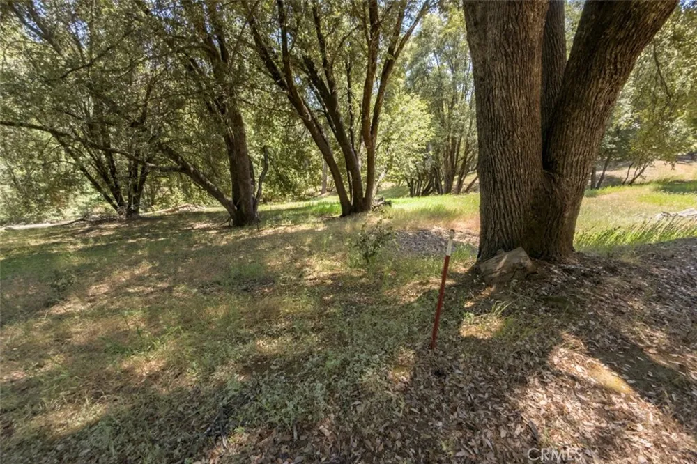 2397 Parmabelle Mariposa, CA 95338
