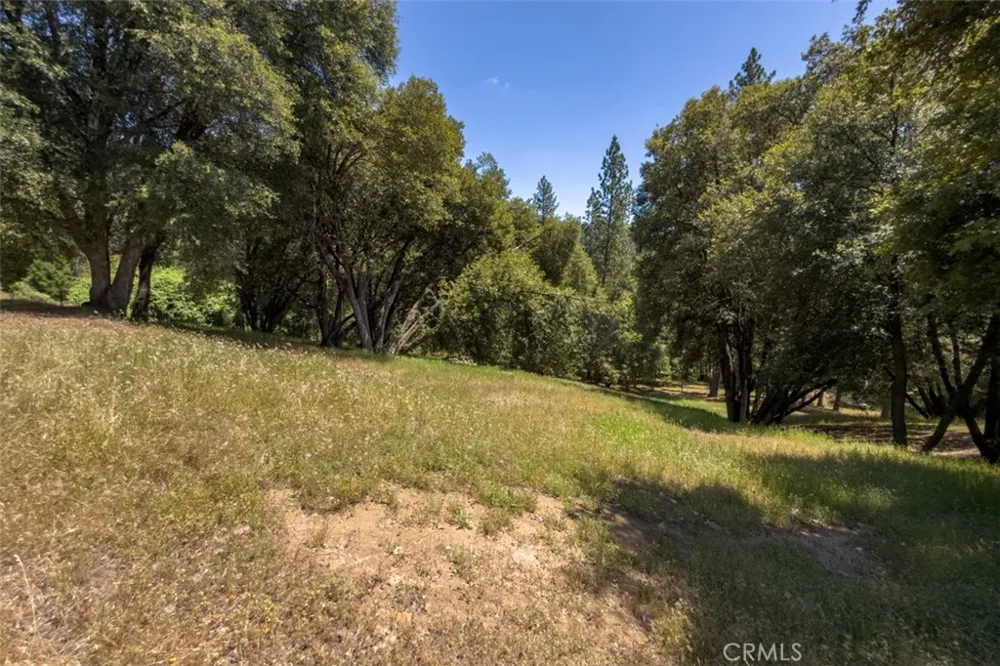 2397 Parmabelle Mariposa, CA 95338