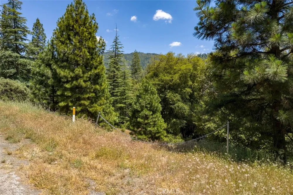 2397 Parmabelle Mariposa, CA 95338