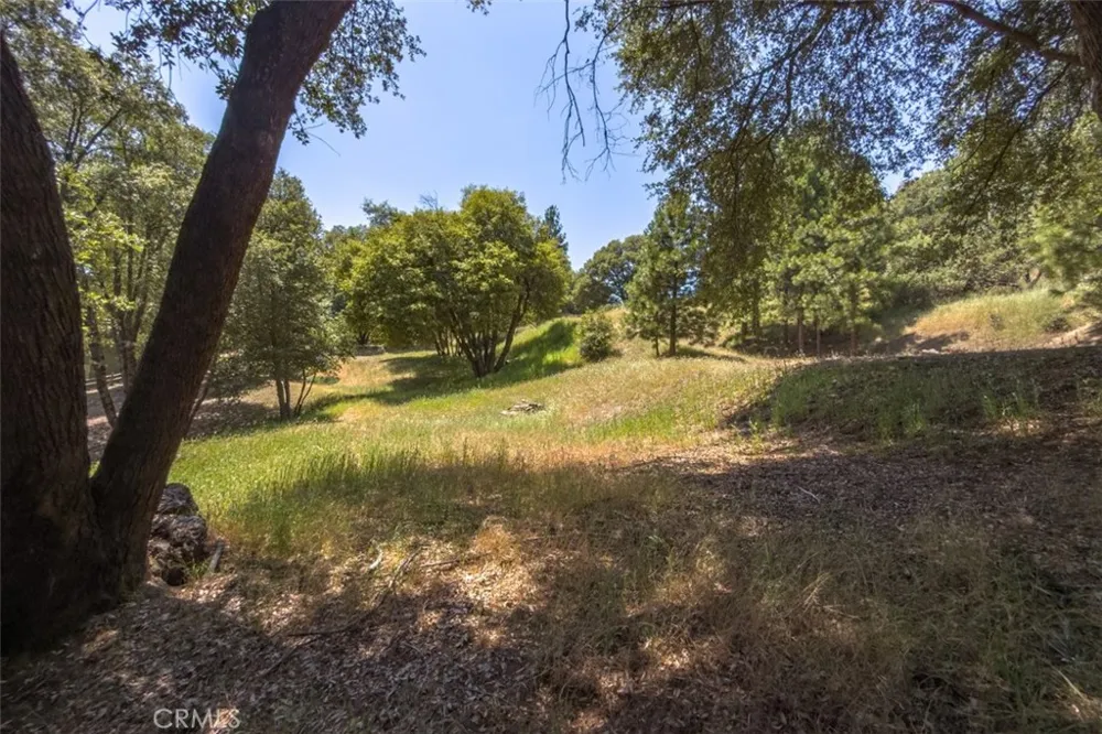 2397 Parmabelle Mariposa, CA 95338