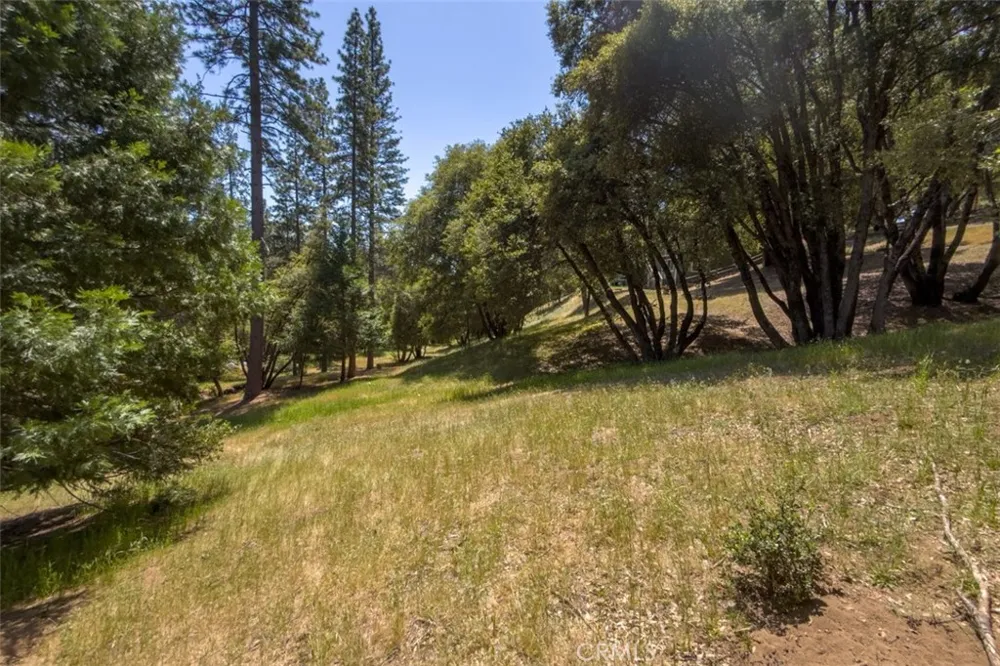 2397 Parmabelle Mariposa, CA 95338