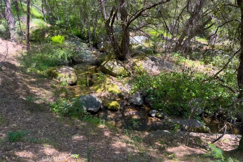 2397 Parmabelle Mariposa, CA 95338