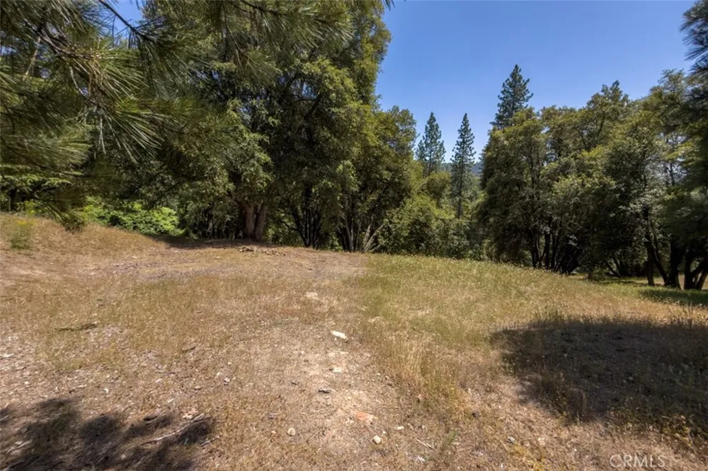 2397 Parmabelle Mariposa, CA 95338