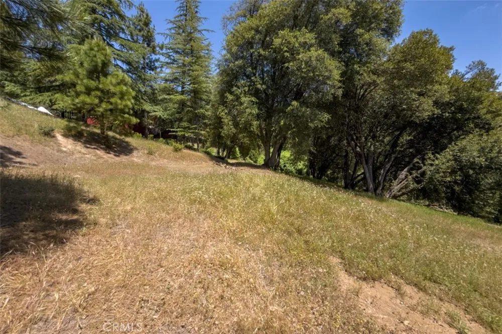 2397 Parmabelle Mariposa, CA 95338