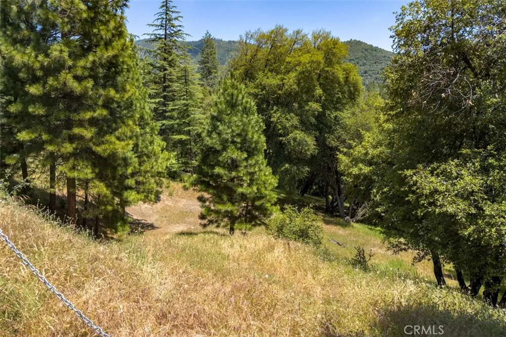2397 Parmabelle Mariposa, CA 95338