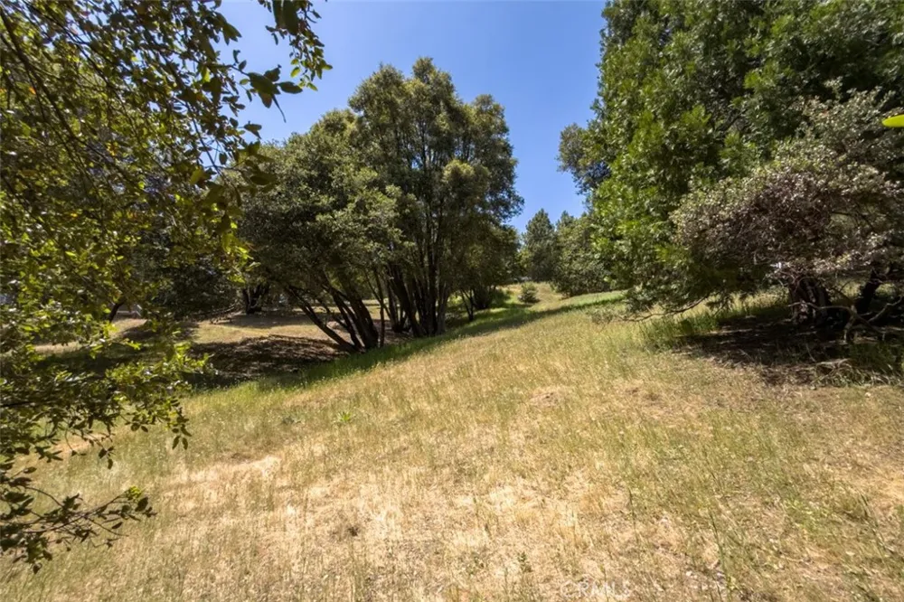 2397 Parmabelle Mariposa, CA 95338