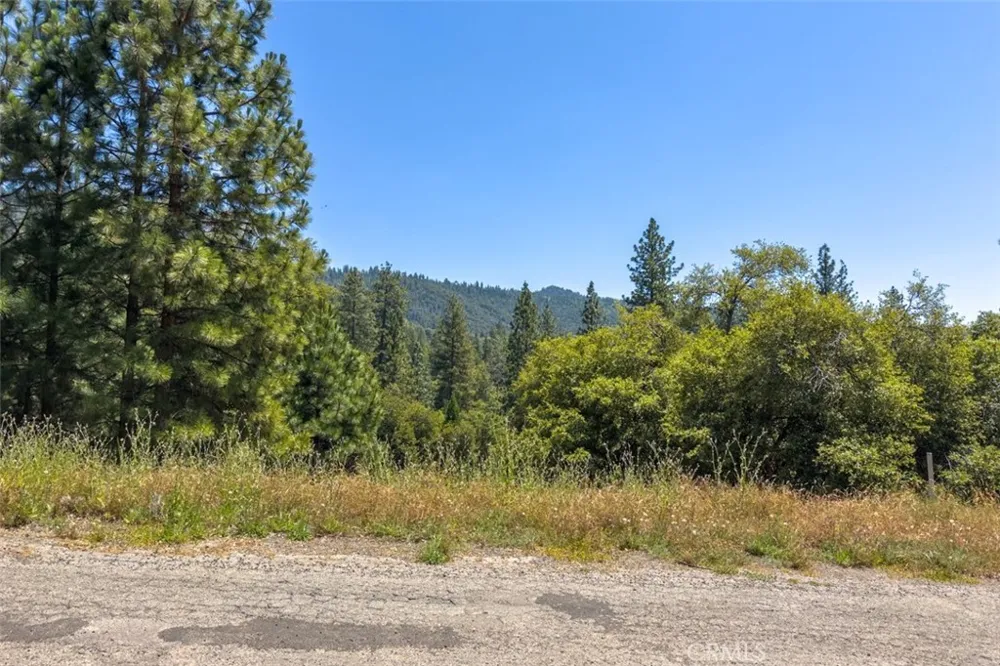 2397 Parmabelle Mariposa, CA 95338