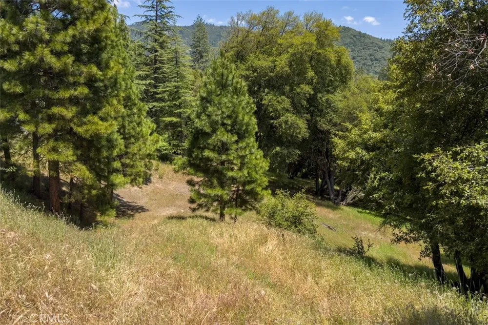 2397 Parmabelle Mariposa, CA 95338