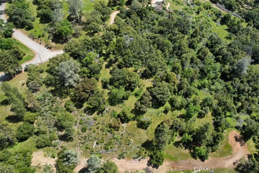 8 Timberwood Lane Oakhurst, CA 93644