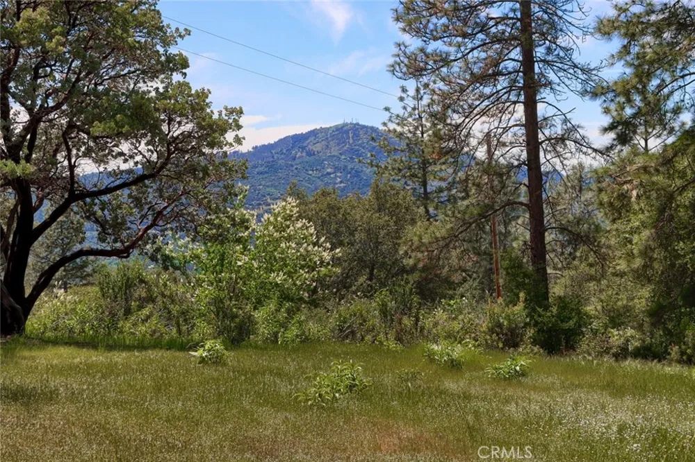 8 Timberwood Lane Oakhurst, CA 93644