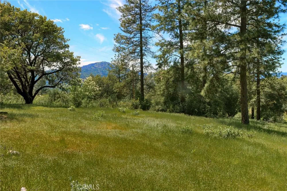 8 Timberwood Lane Oakhurst, CA 93644