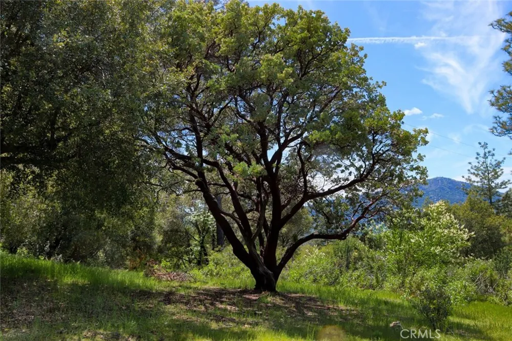 8 Timberwood Lane Oakhurst, CA 93644