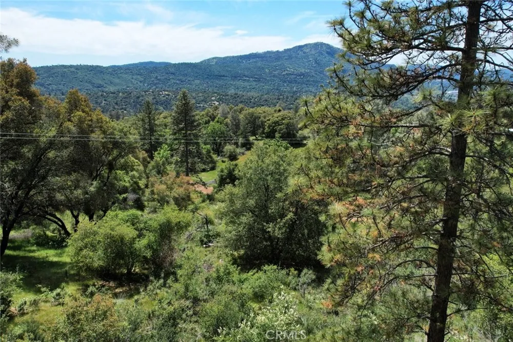 8 Timberwood Lane Oakhurst, CA 93644