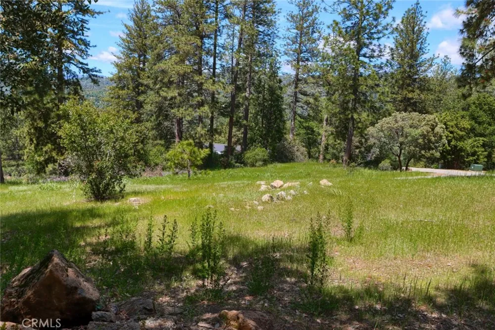 8 Timberwood Lane Oakhurst, CA 93644