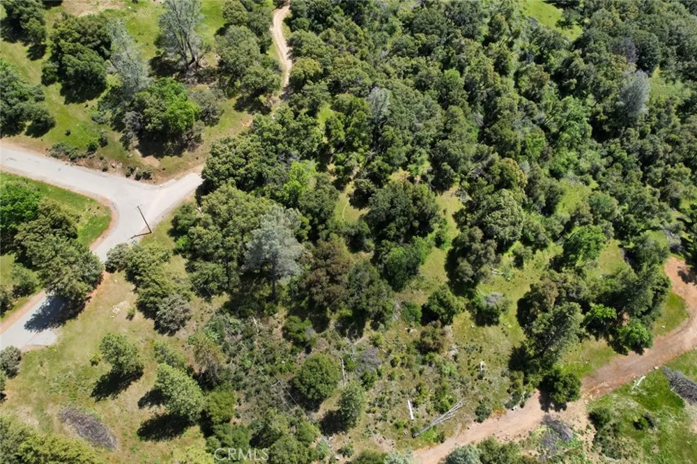 8 Timberwood Lane Oakhurst, CA 93644