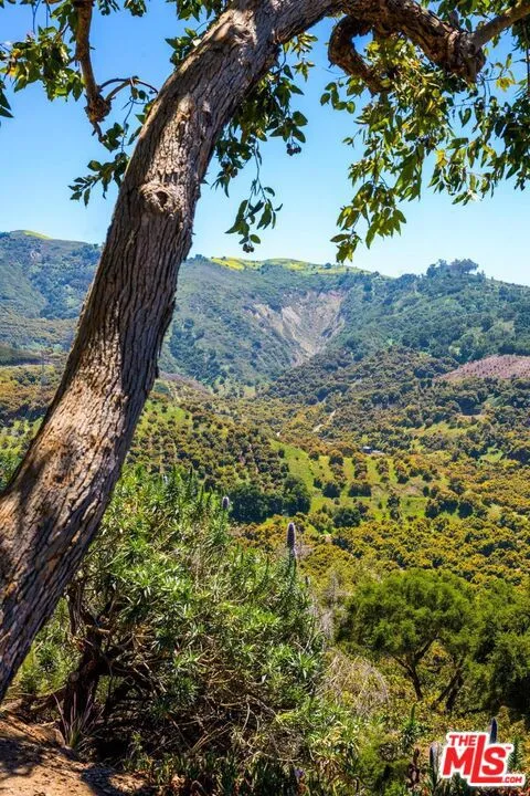 7200 Casitas Pass Road Carpinteria, CA 93013