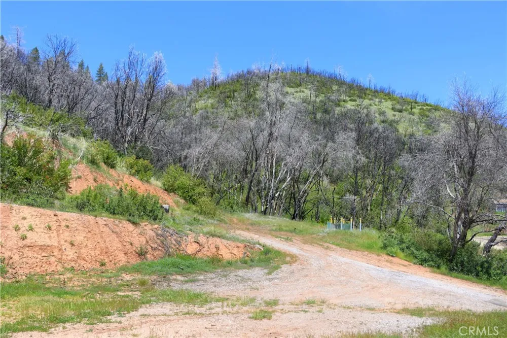 4632 Triangle Mariposa, CA 95338