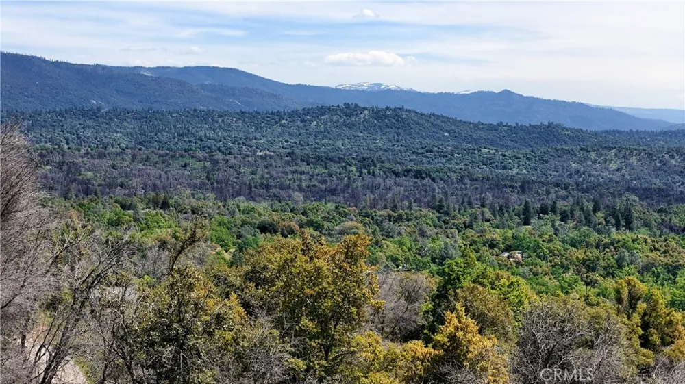 4632 Triangle Mariposa, CA 95338