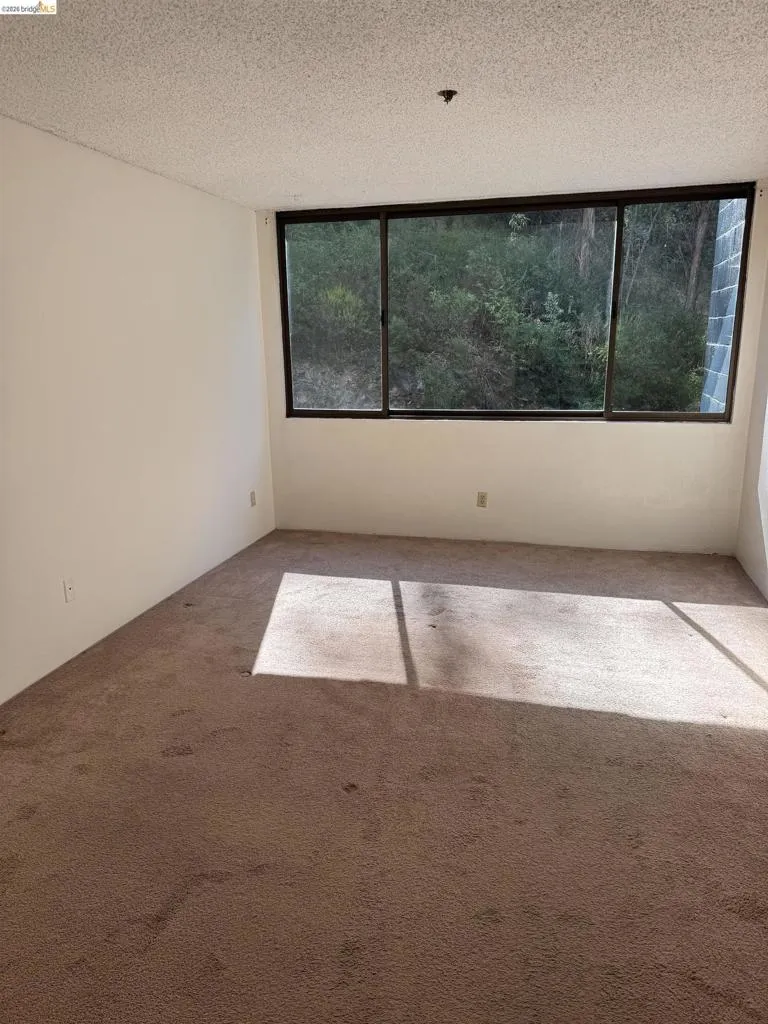 555 Pierce St #536 Albany, CA 94706