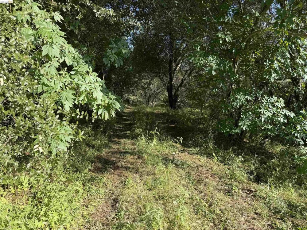 4320 Usona Rd Mariposa, CA 95338