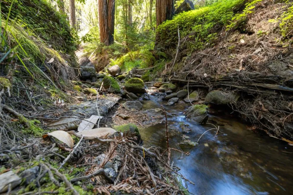 Branson Boulder Creek, CA 95006