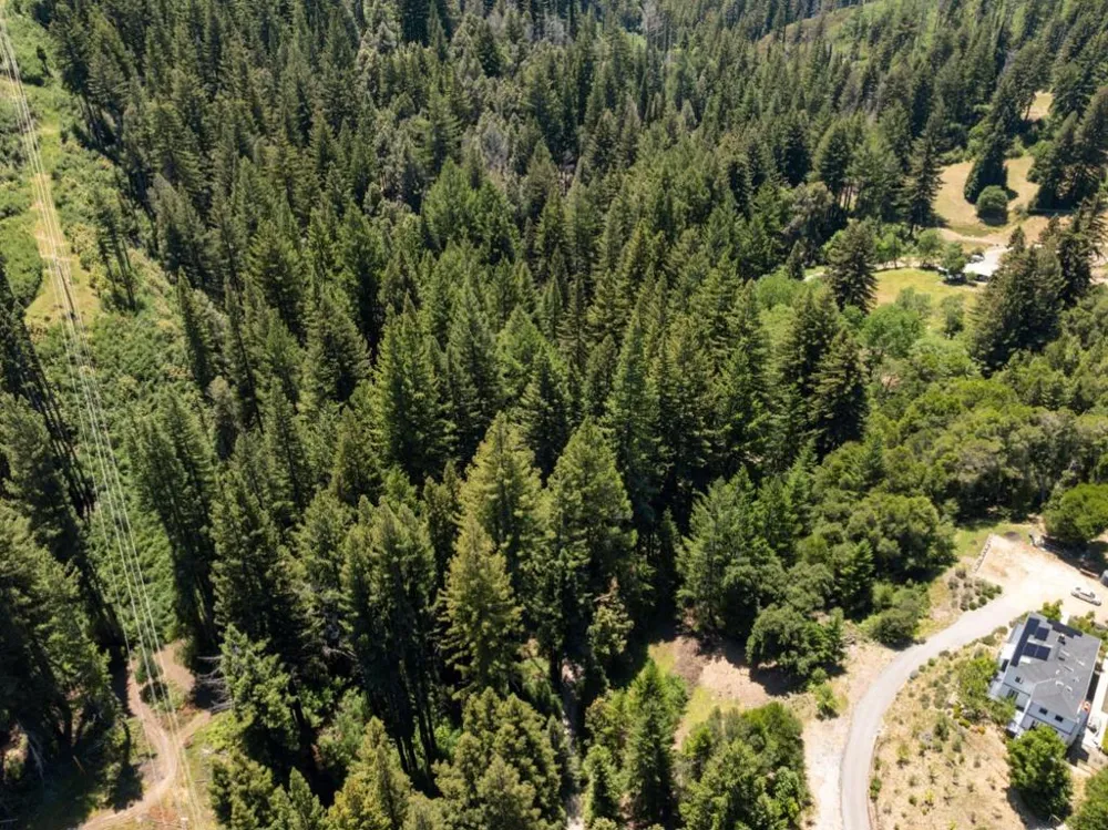Branson Boulder Creek, CA 95006