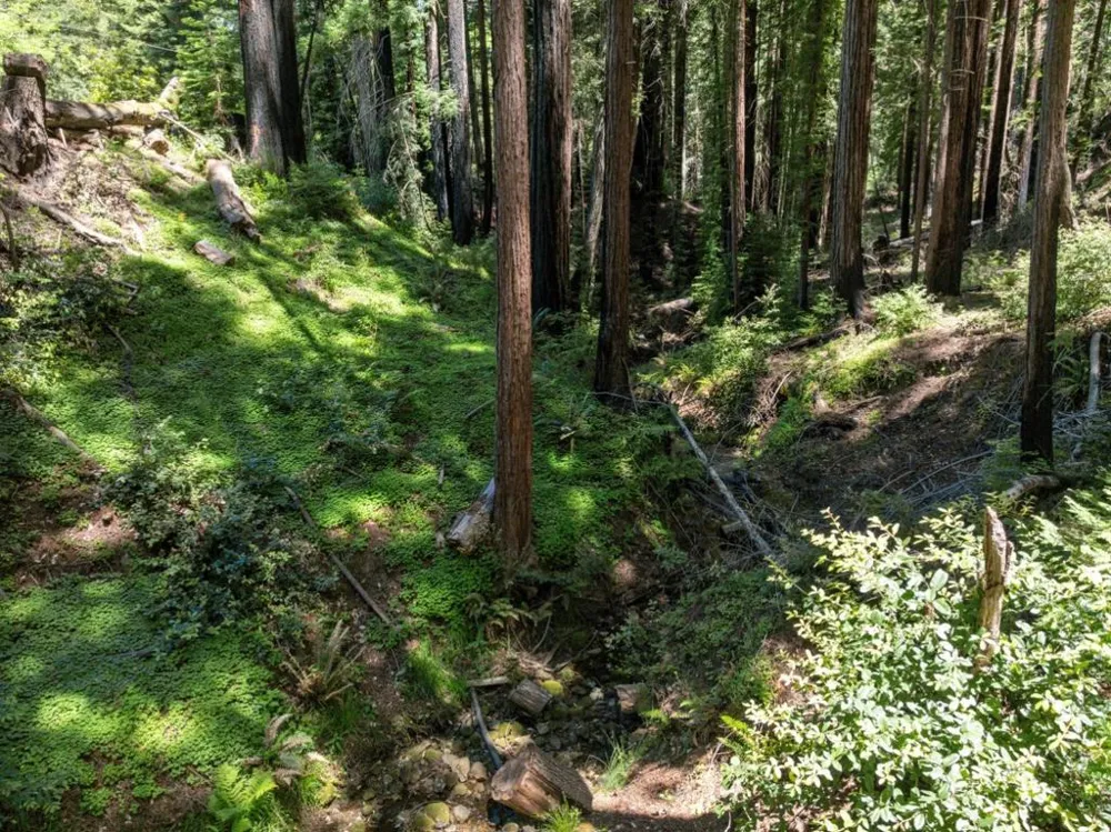 Branson Boulder Creek, CA 95006