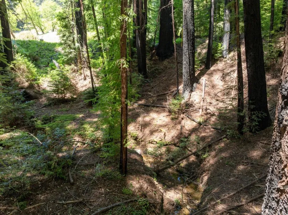 Branson Boulder Creek, CA 95006