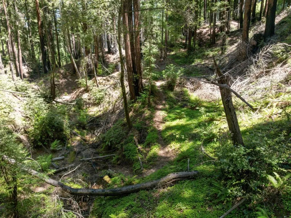 Branson Boulder Creek, CA 95006